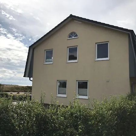 Lilly Comfortable Vacation