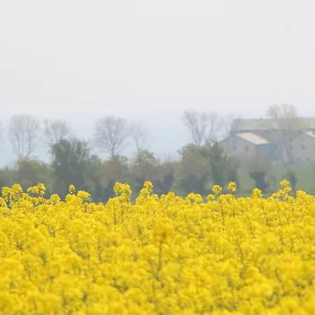 Lilly Comfortable Vacation דירה *