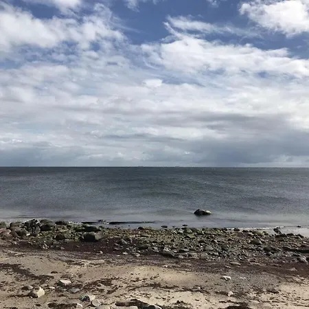 Lilly Comfortable Vacation *