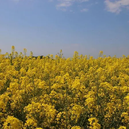 Lilly Comfortable Vacation * Staberdorf