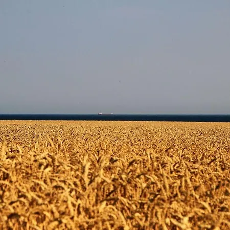 Lilly Comfortable Vacation Staberdorf