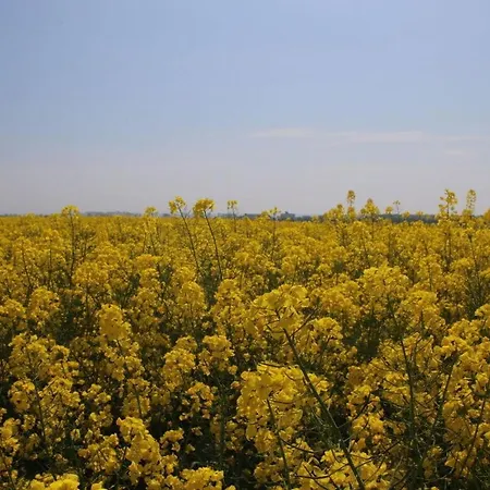 Lilly Comfortable Vacation דירה