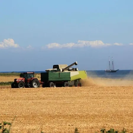 Lilly Comfortable Vacation