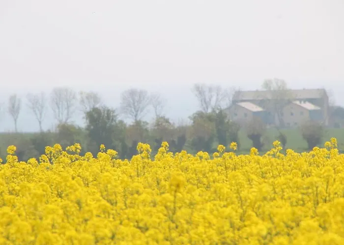 Lilly Comfortable Vacation Apartamento *