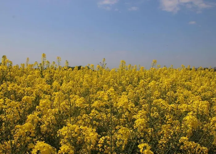 Lilly Comfortable Vacation * Staberdorf